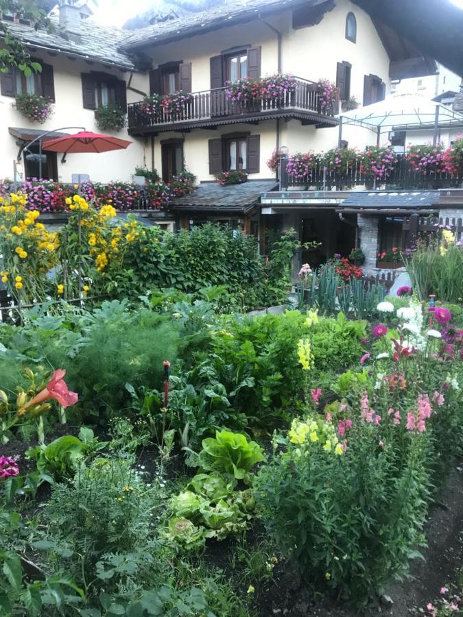 Maison Laurent Courmayeur Extérieur photo